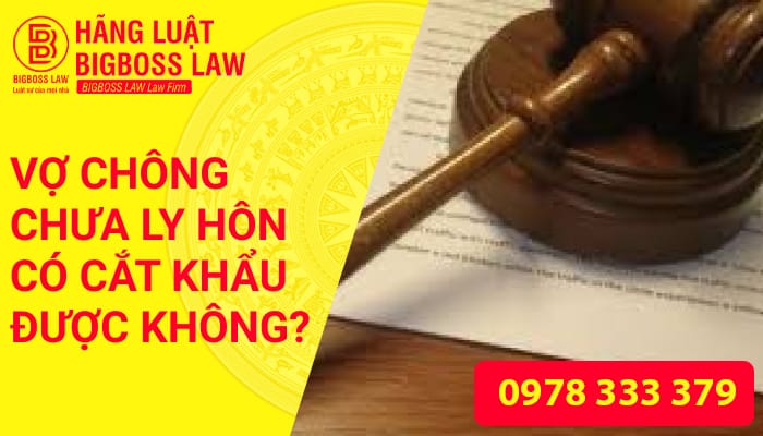 VỢ CHỒNG CHƯA LY HÔN CÓ ĐƯỢC CẮT KHẨU KHÔNG 11 Thumnails website 5