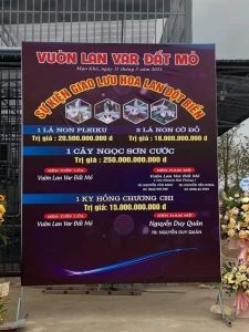 Vụ lan var 290 tỷ ở Quảng Ninh có thể bị xử lý hình sự