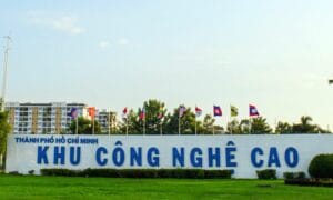 Dịch vụ tạm ngừng kinh doanh tại Quận 9