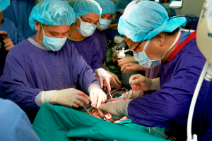 thủ đoạn mua bán tạng tinh vi - lách luật mua bán tạng bằng du lịch ghép tạng
