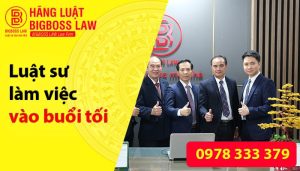 luat-su-lam-viec-vao-buoi-toi