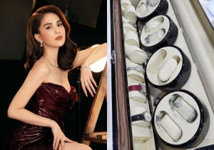 Những phân tích liên quan đến vụ việc trộm cắp tài sản tại nhà Ngọc Trinh