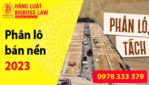 Phân lô bán nền theo luật kinh doanh bất động sản 2023