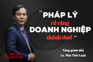 phap-ly-ro-rang-doanh-nghiep-thanh-thoi-mai-tien-luat