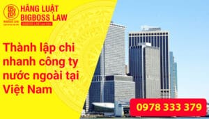 Thành lập chi nhánh công ty nước ngoài tại Việt Nam