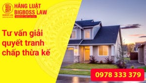 Tư vấn giải quyết tranh chấp thừa kế
