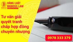 Tranh chấp hơp đồng chuyển nhượng đất đai: Nguyên Nhân, Quy Trình và Giải Pháp