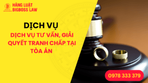 DỊCH VỤ TƯ VẤN, GIẢI QUYẾT TRANH CHẤP TẠI TÒA ÁN HÔN NHÂN GIA ĐÌNH