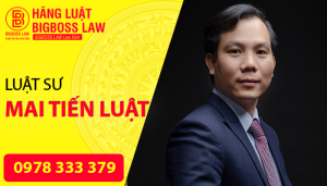 luat-su-mai-tien-luat