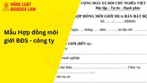 Hợp đồng môi giới BĐS-công ty