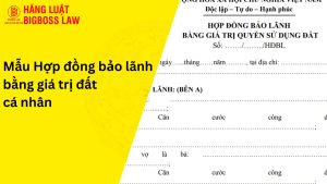 Hợp đồng bảo lãnh