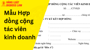 Hợp đồng cộng tác viên kinh doanh