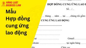 Hợp đồng cung ứng lao động