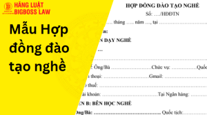 Hợp đồng đào tạo nghề