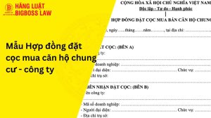 Hợp đồng đặt cọc mua căn hộ chung cư - công ty
