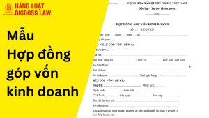 Hợp đồng góp vốn kinh doanh