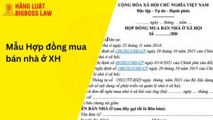 Hợp đồng mua bán nhà ở XH