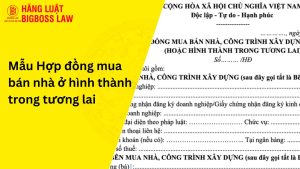 Hợp đồng mua bán nhà ở hình thành trong tương lai