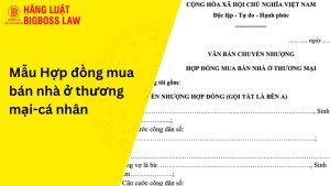 Hợp đồng mua bán nhà ở thương mại-cá nhân