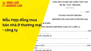 Hợp đồng mua bán nhà ở thương mại - công ty
