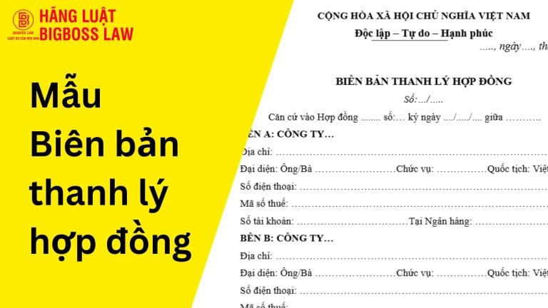 Hop dong thu viec 11