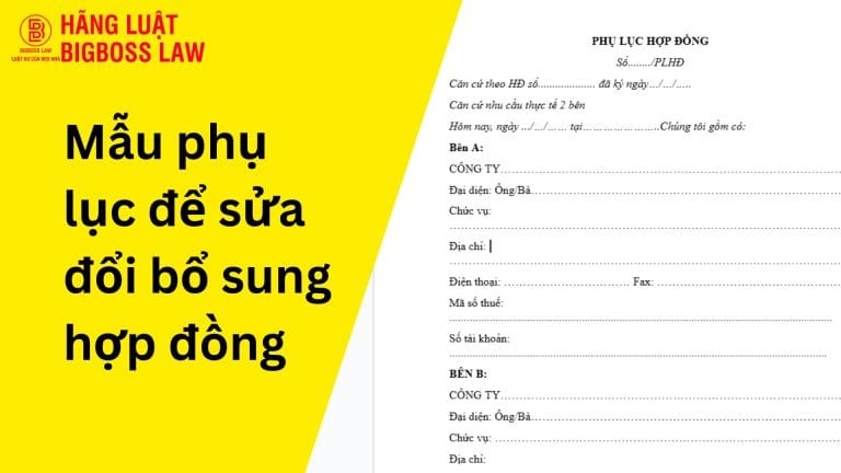 Mẫu phụ lục để sửa đổi bổ sung hợp đồng