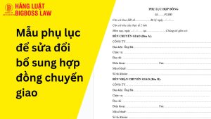 Mẫu phụ lục để sửa đổi bổ sung hợp đồng