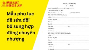 Mẫu phụ lục để sửa đổi bổ sung hợp đồng chuyển nhượng