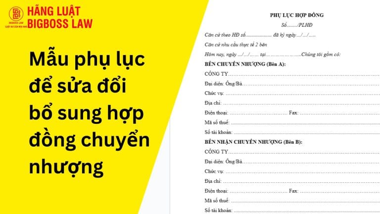 Mẫu phụ lục để sửa đổi bổ sung hợp đồng chuyển nhượng