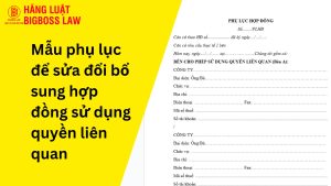 Hợp đồng sử dụng quyền liên quan với chương trình biểu diễn