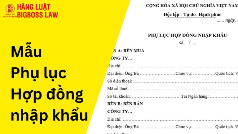 Hop dong thu viec 19