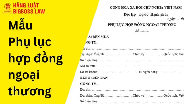 Mẫu phụ lục hợp đồng ngoại thương 7 Hop dong thu viec 2 4