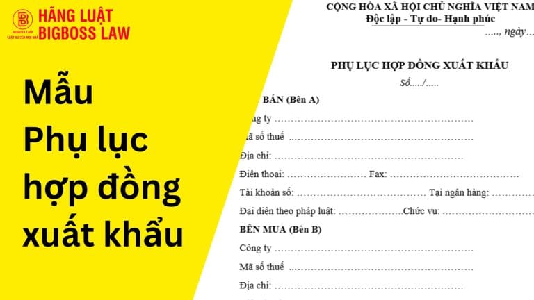 Mẫu phụ lục hợp đồng xuất khẩu 10 Hop dong thu viec 23