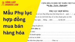 Phụ lục hợp đồng mua bán hàng hóa