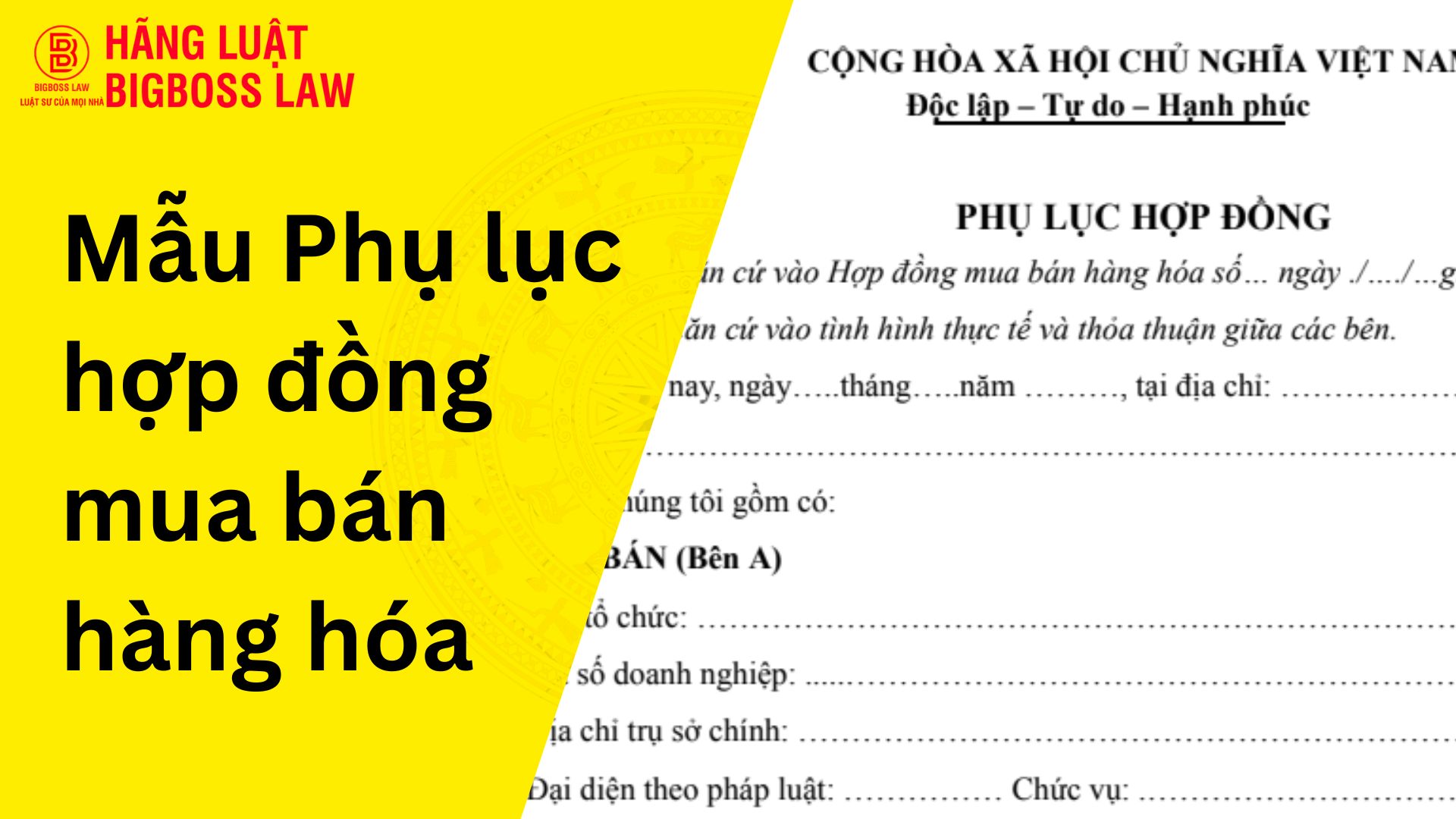 Phụ lục hợp đồng mua bán hàng hóa