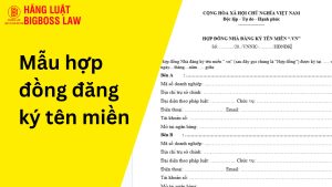 Mẫu hợp đồng đăng ký tên miền