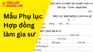 Mẫu Phụ lục Hợp đồng làm gia sư