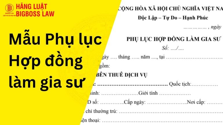 Mẫu Phụ lục Hợp đồng làm gia sư