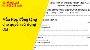 Hợp đồng tặng cho quyền sử dụng đất