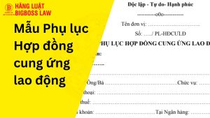 Mẫu Phụ lục Hợp đồng cung ứng lao động
