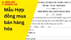 Mẫu Hợp đồng mua bán hàng hóa