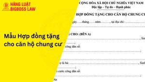 Hợp đồng tặng cho căn hộ chung cư