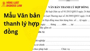 Mẫu Văn bản thanh lý hợp đồng