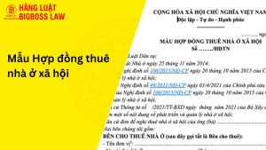 Hợp đồng thuê nhà ở xã hội