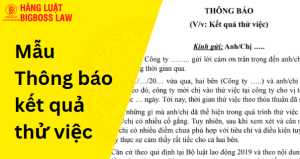 Mẫu thông báo kết quả thử việc