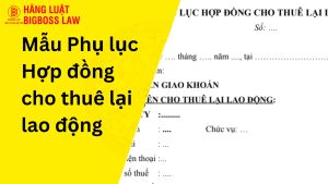 Phụ lục Hợp đồng cho thuê lại lao động