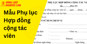 Phụ lục Hợp đồng cộng tác viên