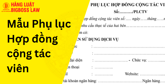 Phụ lục Hợp đồng cộng tác viên