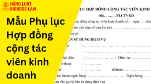 Phụ lục Hợp đồng cộng tác viên kinh doanh