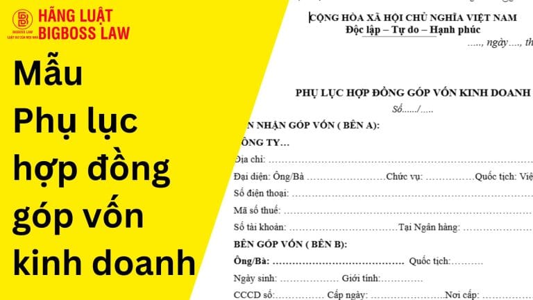 Phu luc hop dong gop von kinh doanh